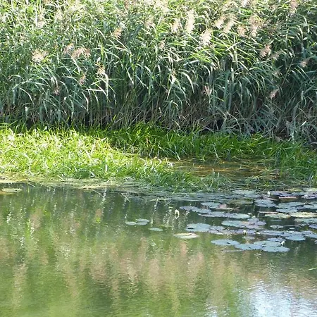 Schwark Penzion Bad Doberan