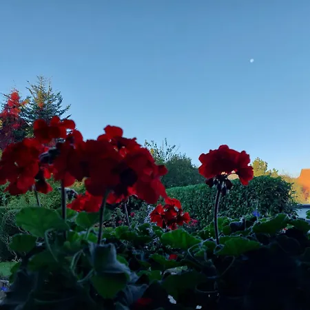 Schwark Penzion Bad Doberan